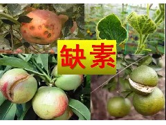 出人意料含腐植酸水溶肥料，作用效果這么強(qiáng)！你還不用么