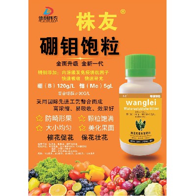 硼鉬飽粒