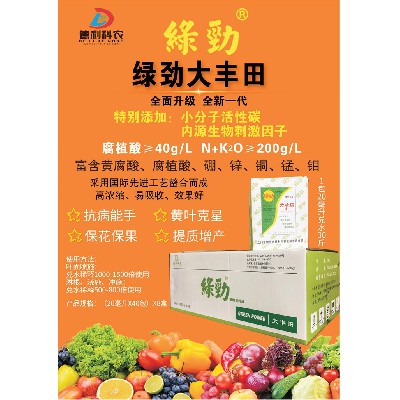 綠勁大豐田2