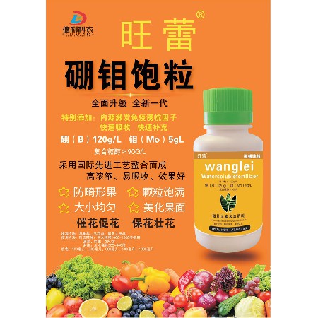硼鉬飽粒