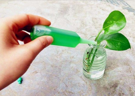 江門綠勁植物營養液